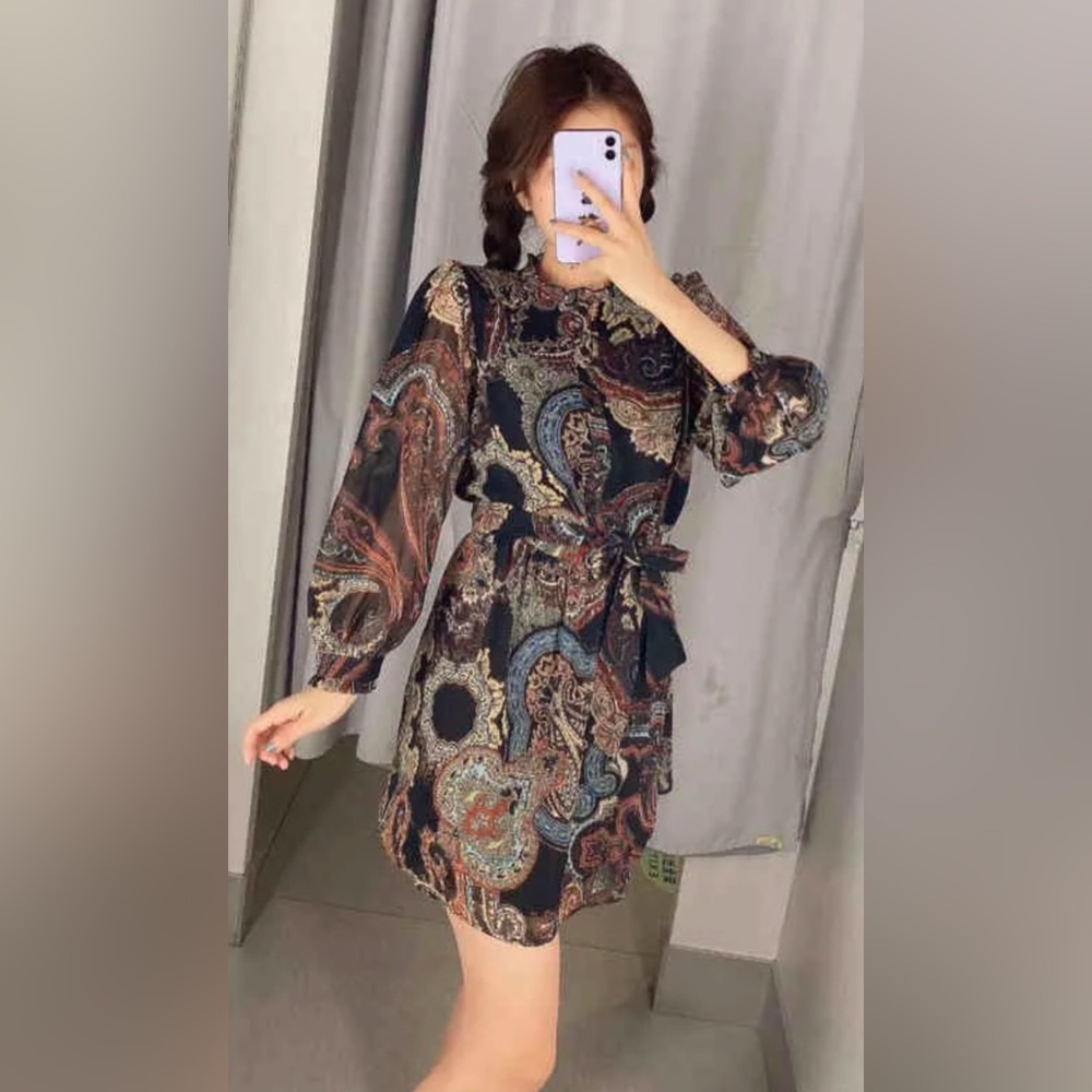 Zara Paisley Printed Belted Willow Dress